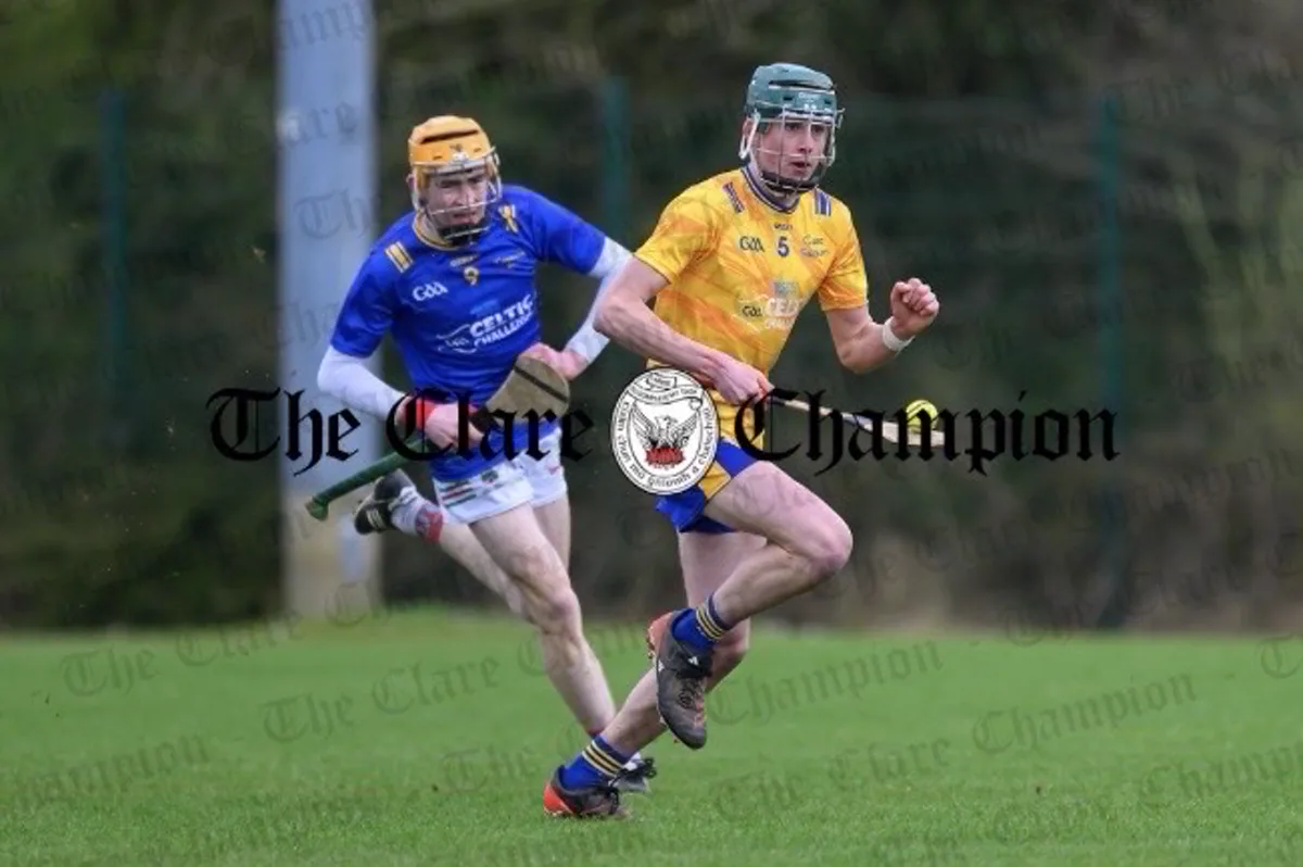 Sean Daly playing hurling